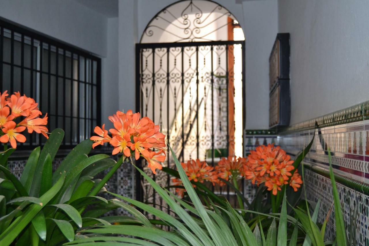 Nuevo Sueno Del Alcazar Apartment Cordoba Luaran gambar